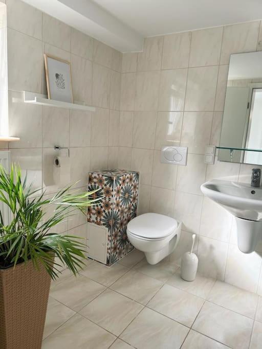 Business Apartment Naehe Bonn Koenigswinter Ngoại thất bức ảnh