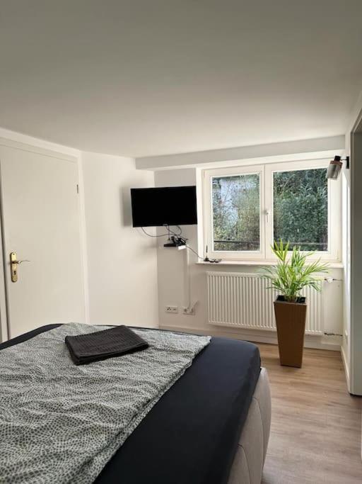 Business Apartment Naehe Bonn Koenigswinter Ngoại thất bức ảnh